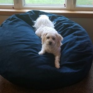 Meet your Posher, Kaylin